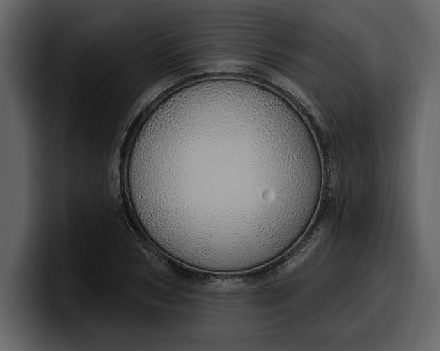 X0000100320978200806190959