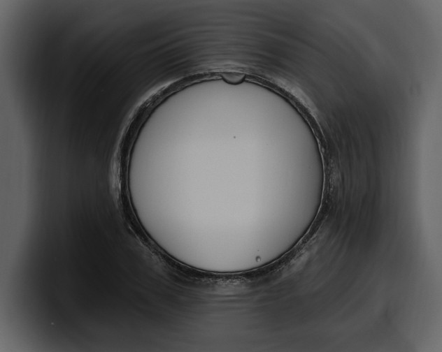 X0000100320979200806190959