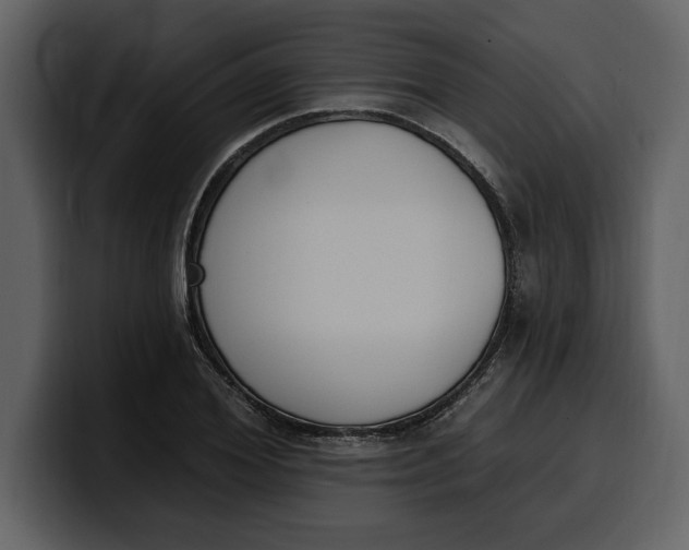 X0000100320980200806190959