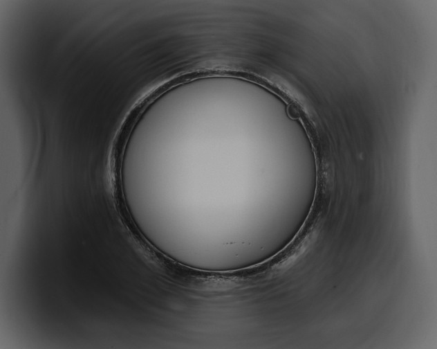 X0000100320981200806190959