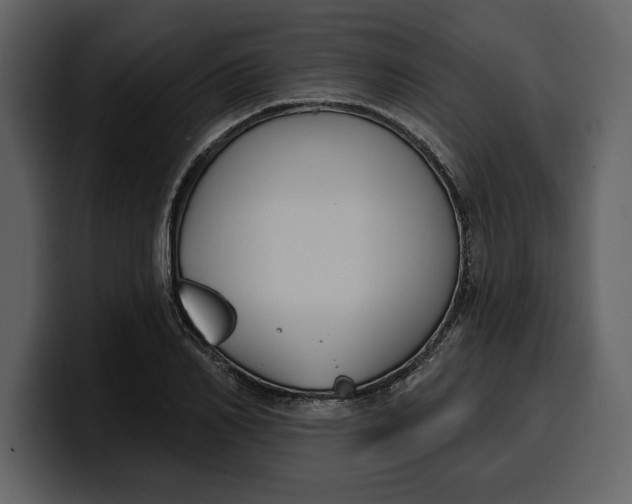 X0000100320982200806190959