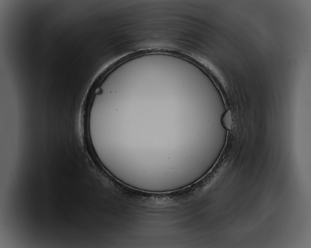 X0000100320983200806190959