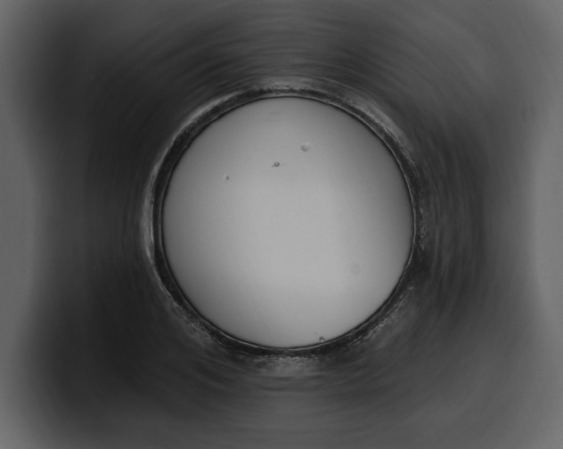 X0000100320984200806190959