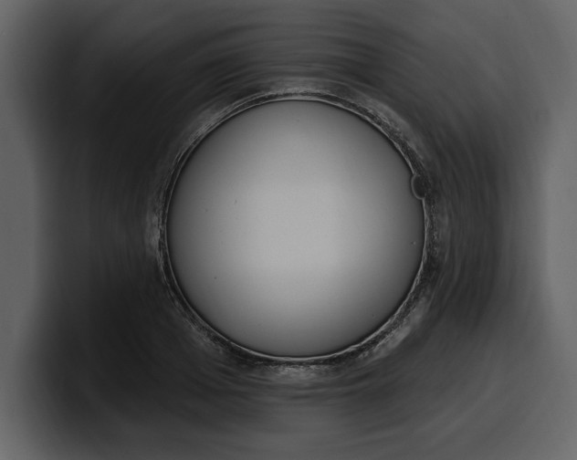 X0000100320985200806190959