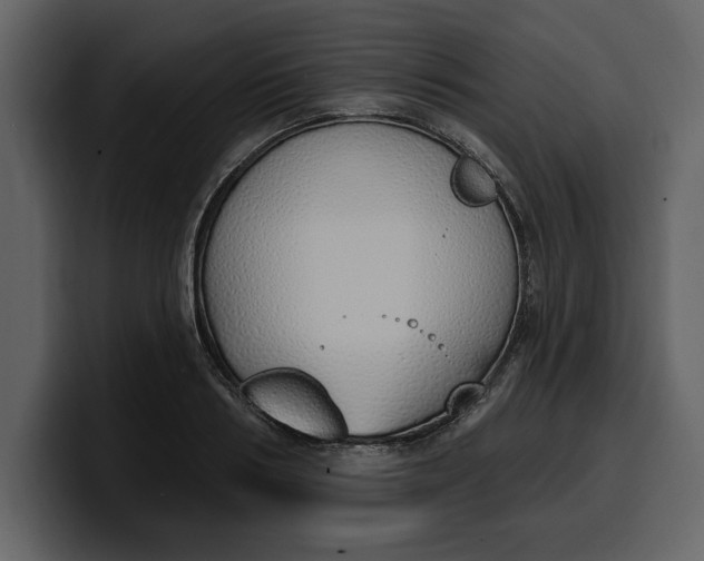 X0000100320986200806190959