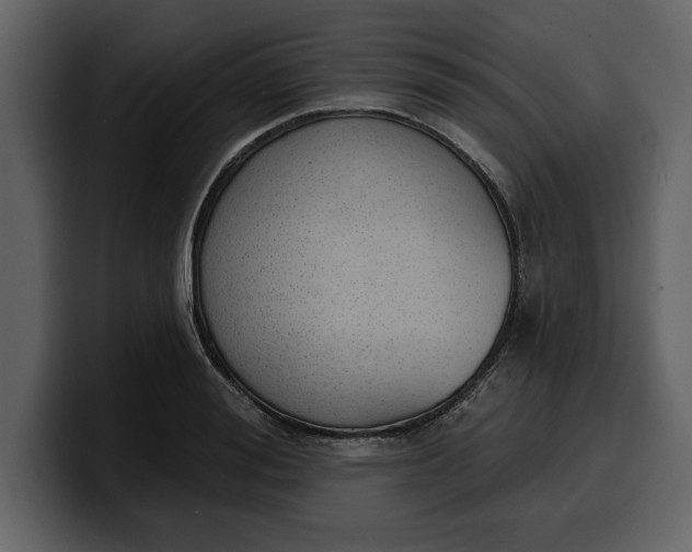 X0000100320988200806190959