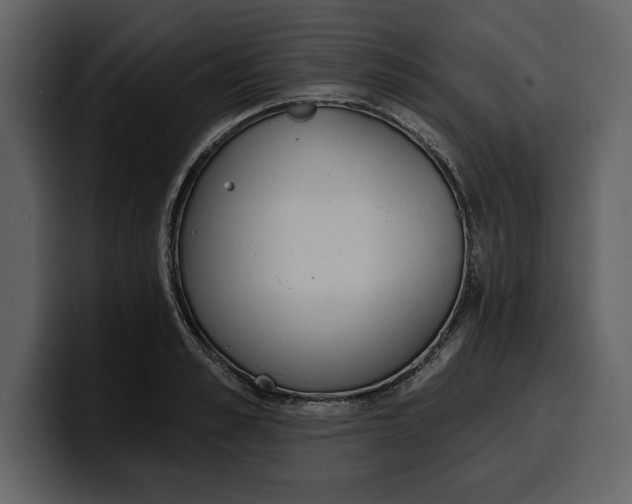 X0000100320989200806190959