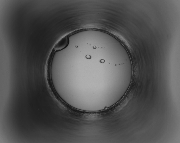 X0000100320991200806190959