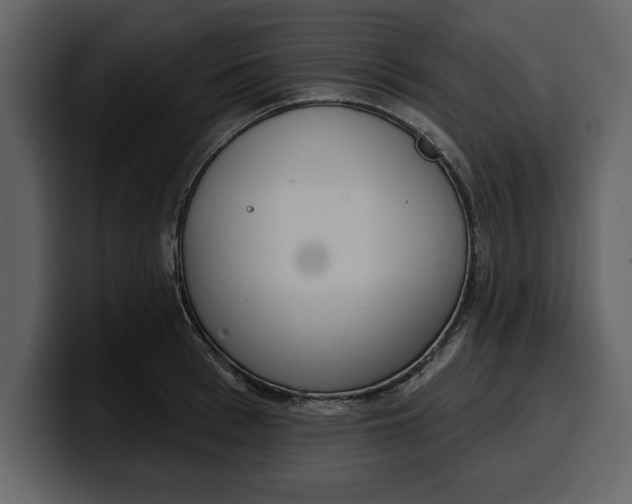 X0000100320993200806190959