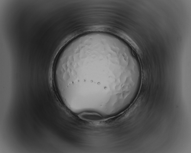 X0000100320994200806190959