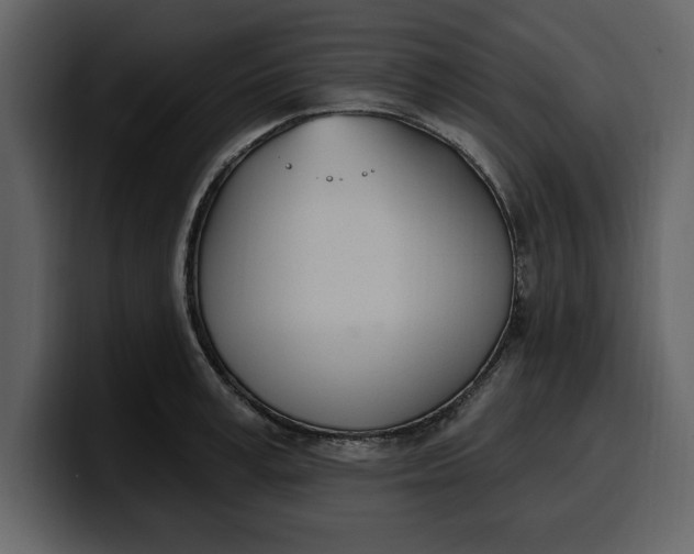 X0000100320995200806190959