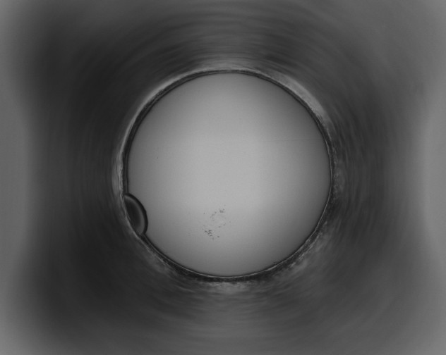 X0000100320996200806190959