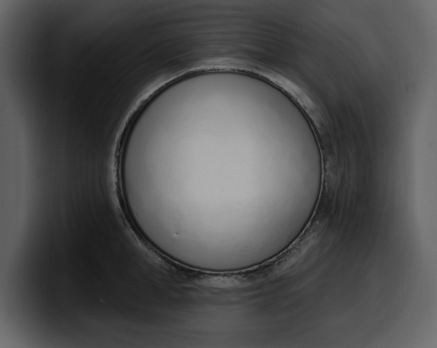 X0000100320998200806190959