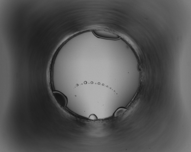 X0000100320999200806190959