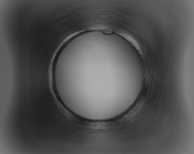 X0000100321000200806190959