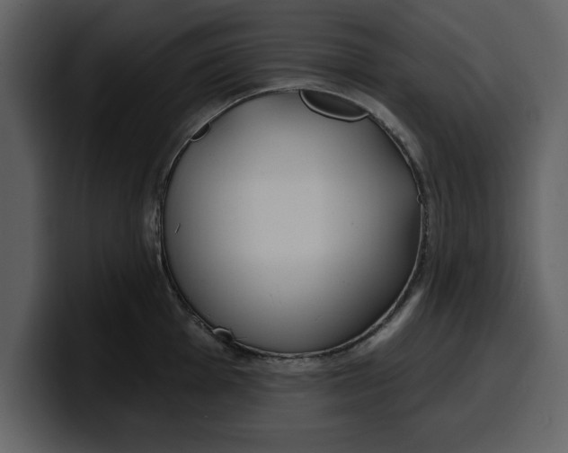 X0000100321001200806190959