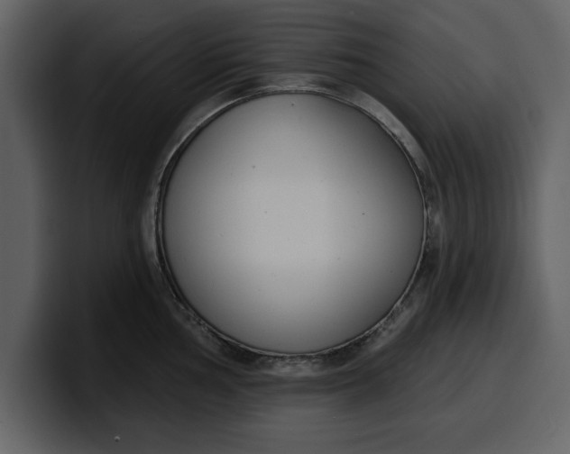 X0000100321002200806190959