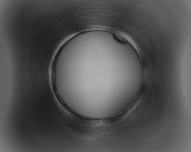 X0000100321003200806190959