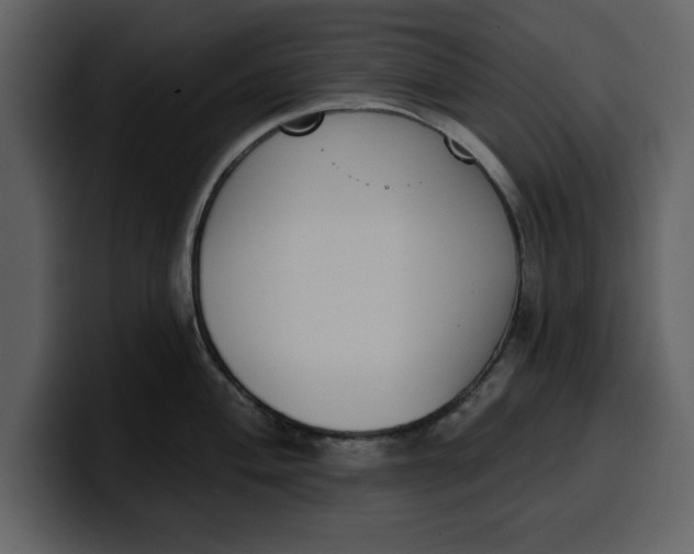 X0000100321004200806190959