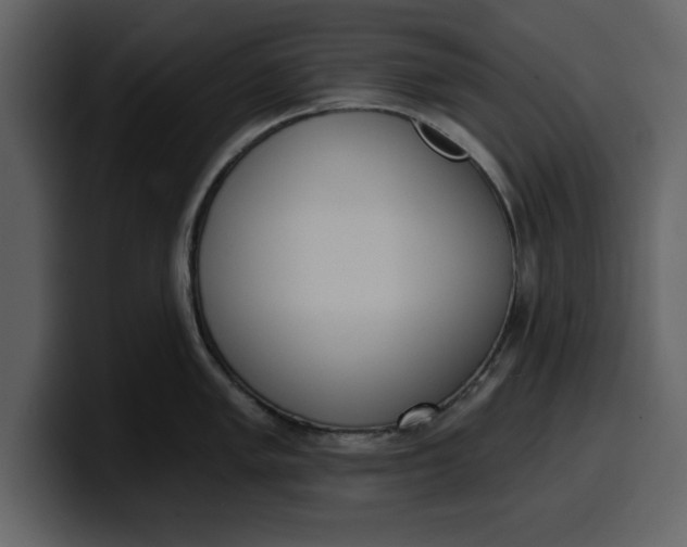 X0000100321005200806190959