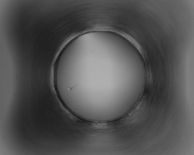 X0000100321006200806190959