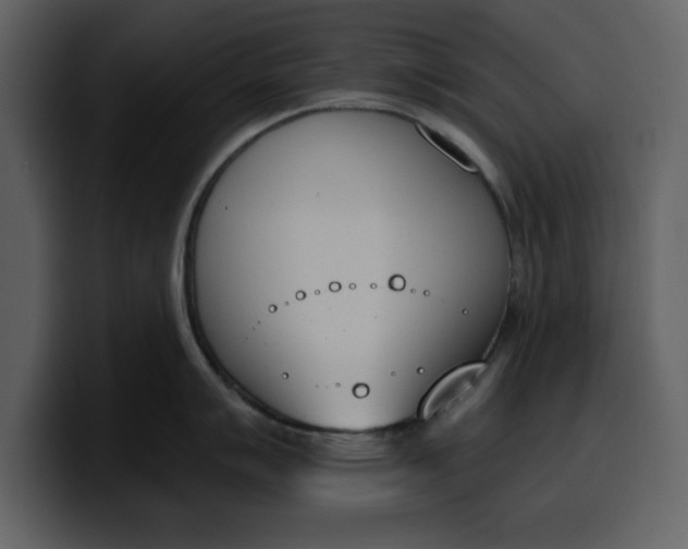 X0000100321007200806190959