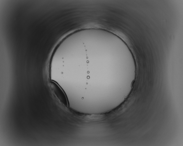 X0000100321008200806190959