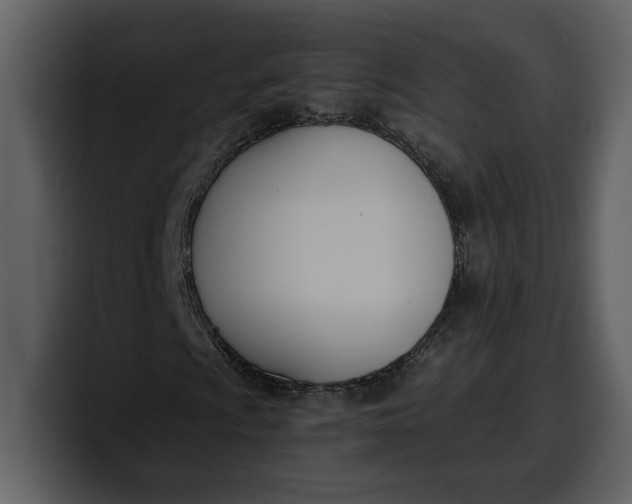 X0000100321009200806190958