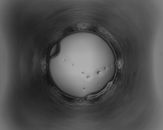 X0000100321011200806190958