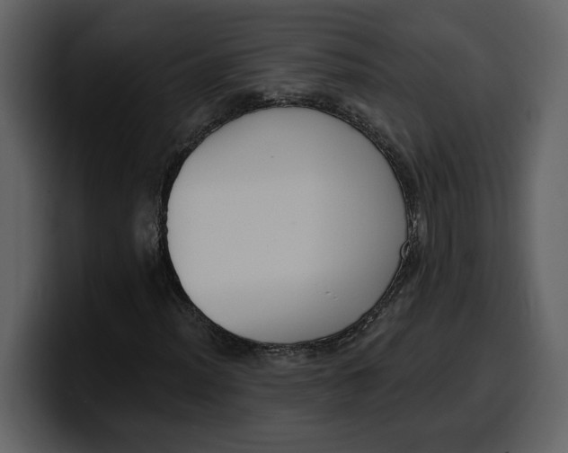 X0000100321012200806190958