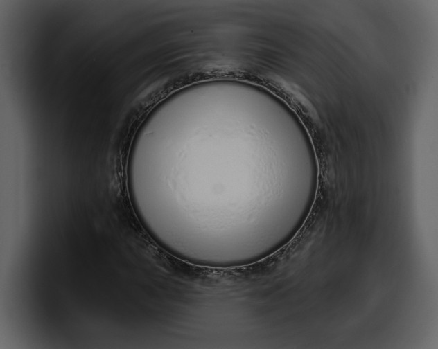 X0000100321015200806190958