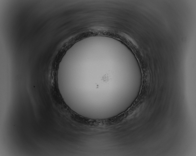 X0000100321016200806190958