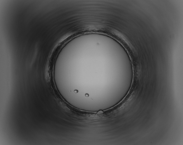 X0000100321018200806190958