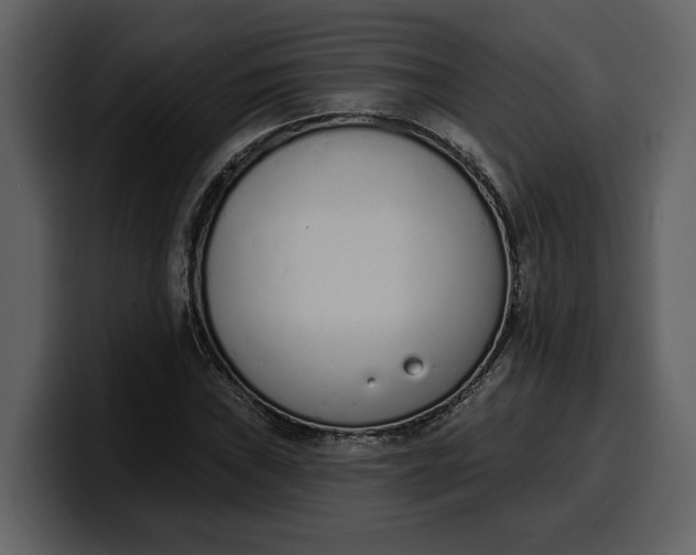 X0000100321019200806190958