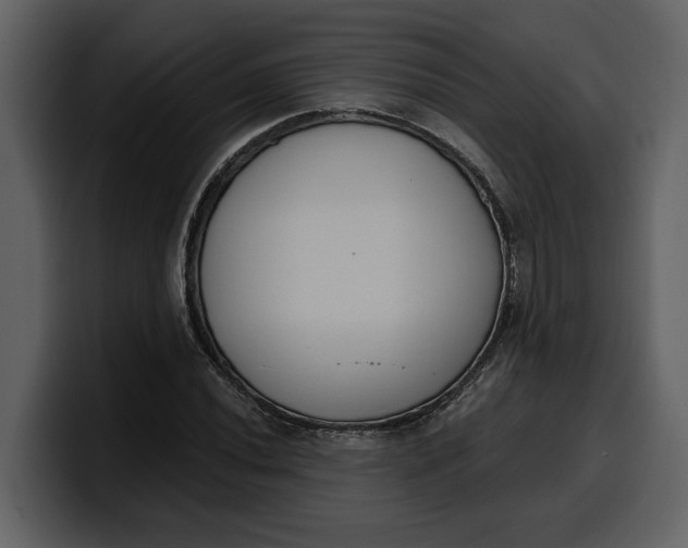 X0000100321020200806190959