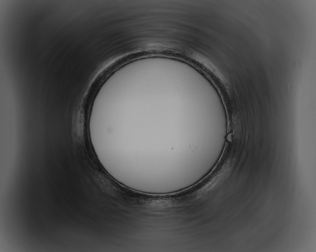 X0000100321021200806190959