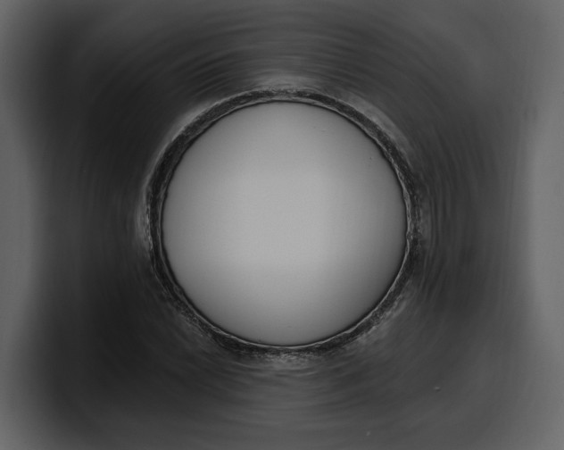 X0000100321022200806190959