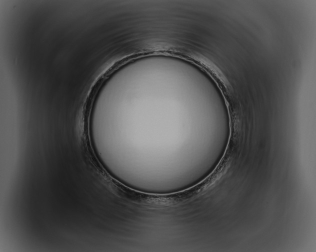 X0000100321023200806190959