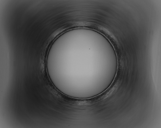 X0000100321025200806190959