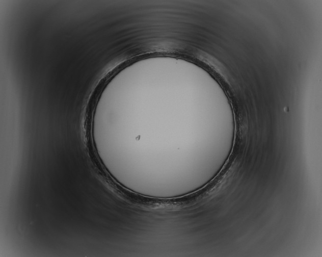 X0000100321026200806190959