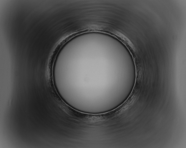 X0000100321027200806190959