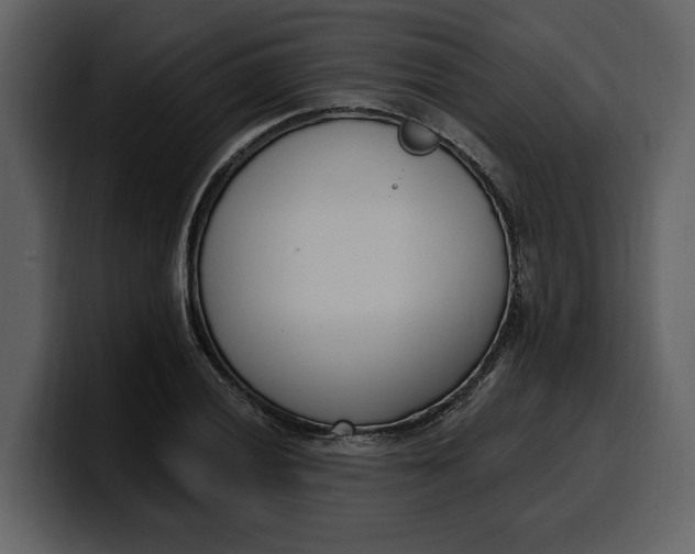 X0000100321028200806190959