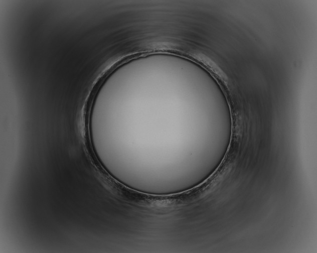 X0000100321031200806190959