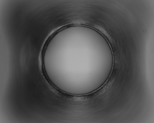 X0000100321032200806190959