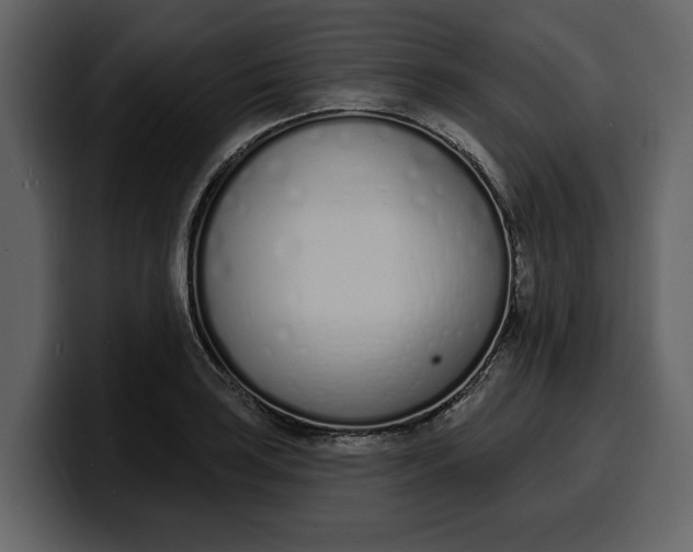 X0000100321035200806190959