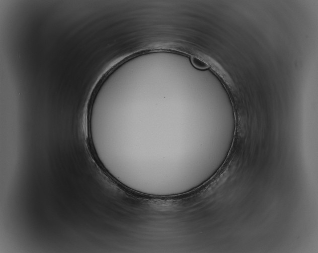 X0000100321036200806190959