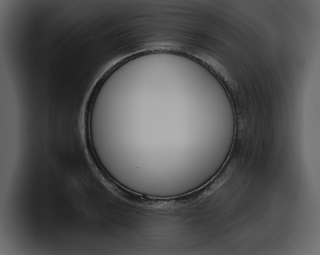 X0000100321038200806190959