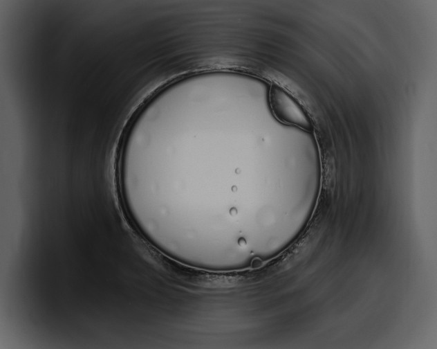 X0000100321039200806190959