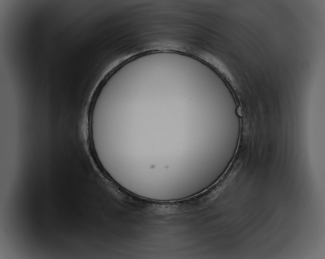 X0000100321040200806190959