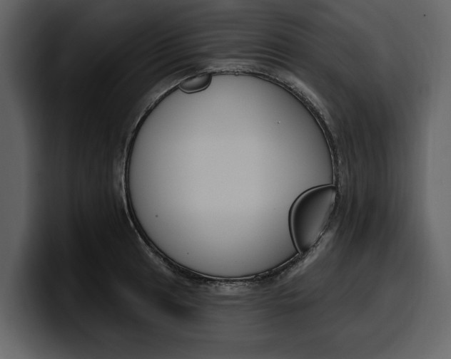 X0000100321041200806190959